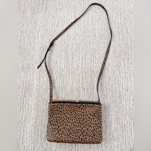 Celine Trio Crossbody Bag (Leopard)
